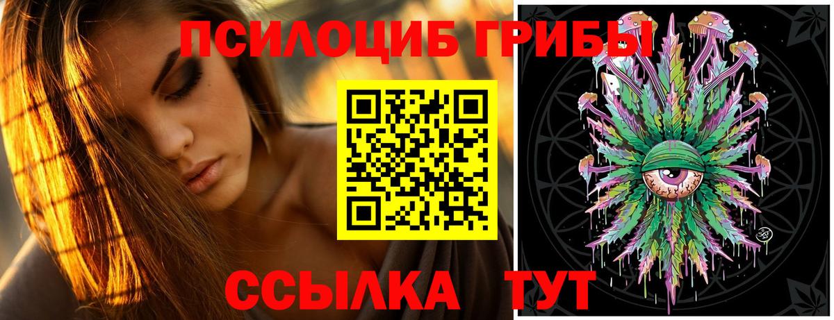 Кашира  Псилоцибиновые грибы GOLDEN TEACHER  Вход с VPN 